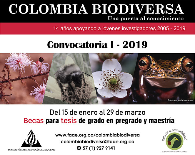 AbiertaConvocatoriaColombiaDiversa