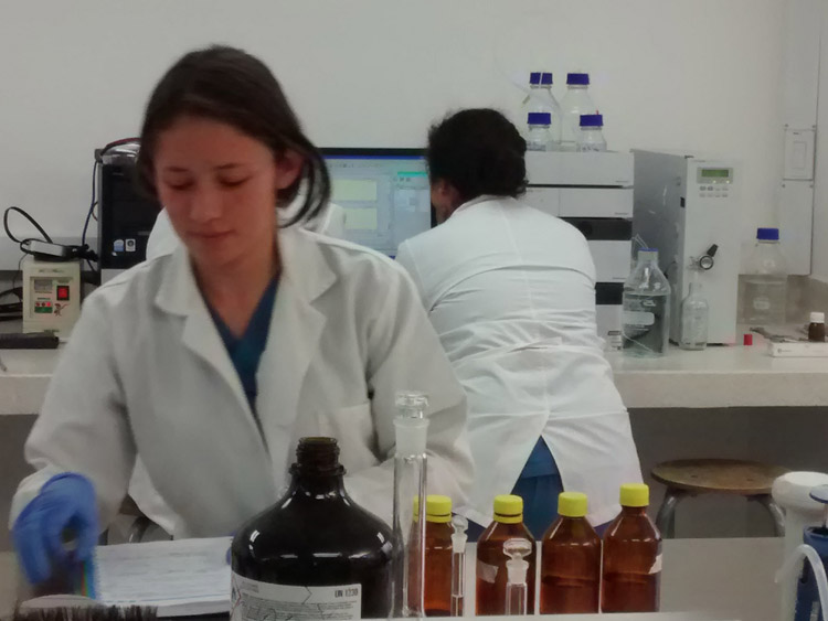 ConvocatoriaInternaIC JII2019