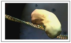 CLIP seq