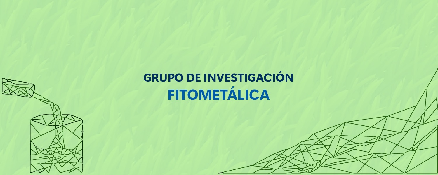 GIFitometalica B