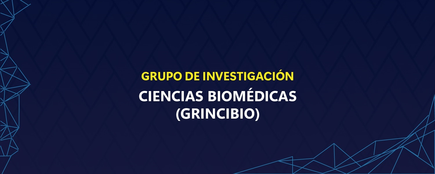 GIGrincibio B