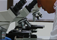 GIBiologiaAplicada
