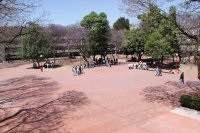 GI CulturasUniversitarias